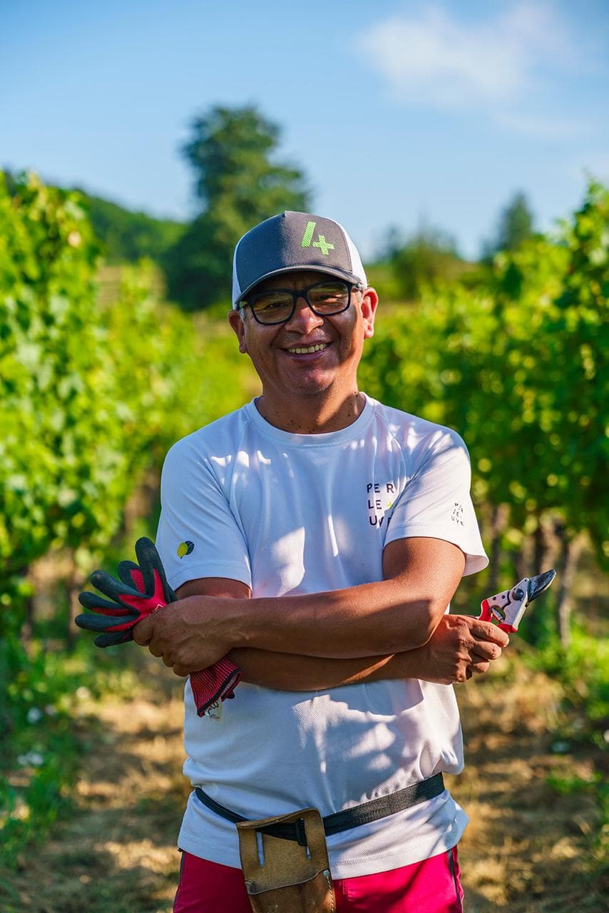Carlos Lujan, Consulente agronomo in potatura