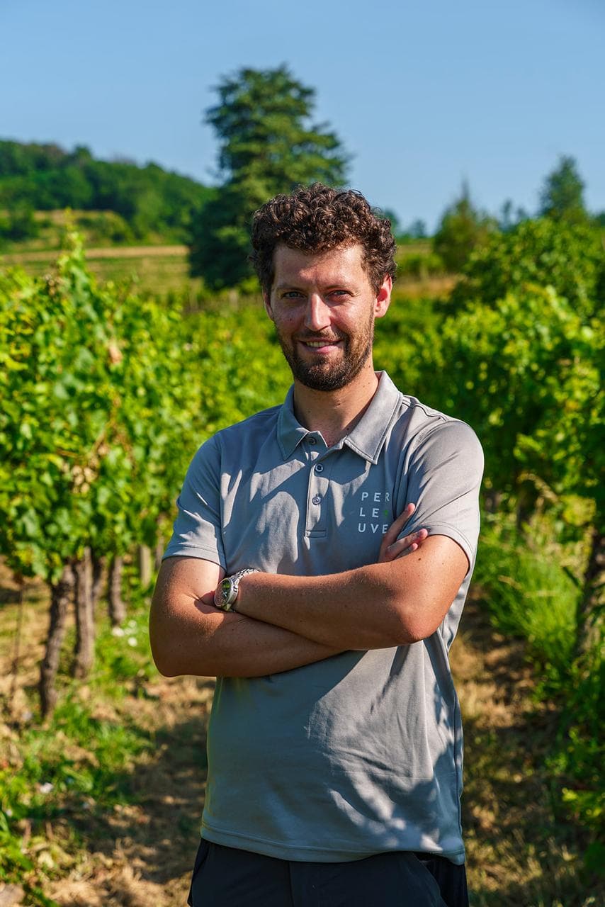 Luca Dellisanti, Consulente agronomo